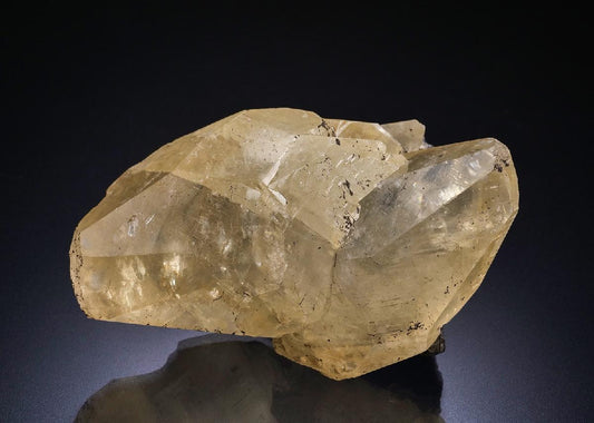 CC42628 specimen image