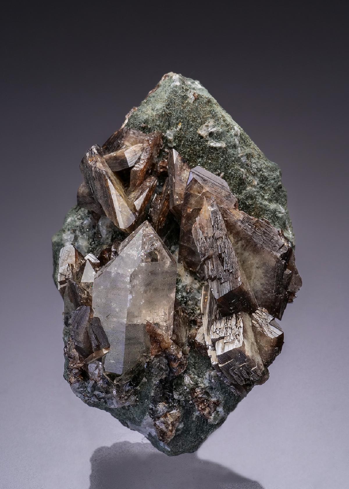 CC42638 specimen image