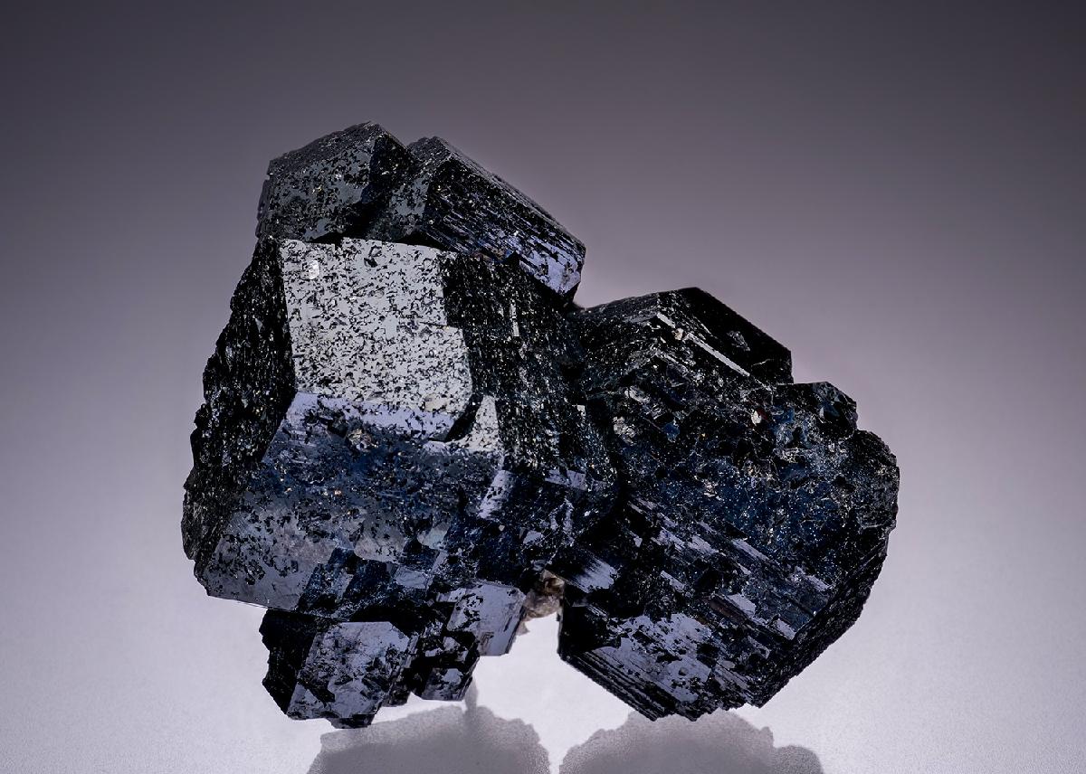 CC42658 specimen image