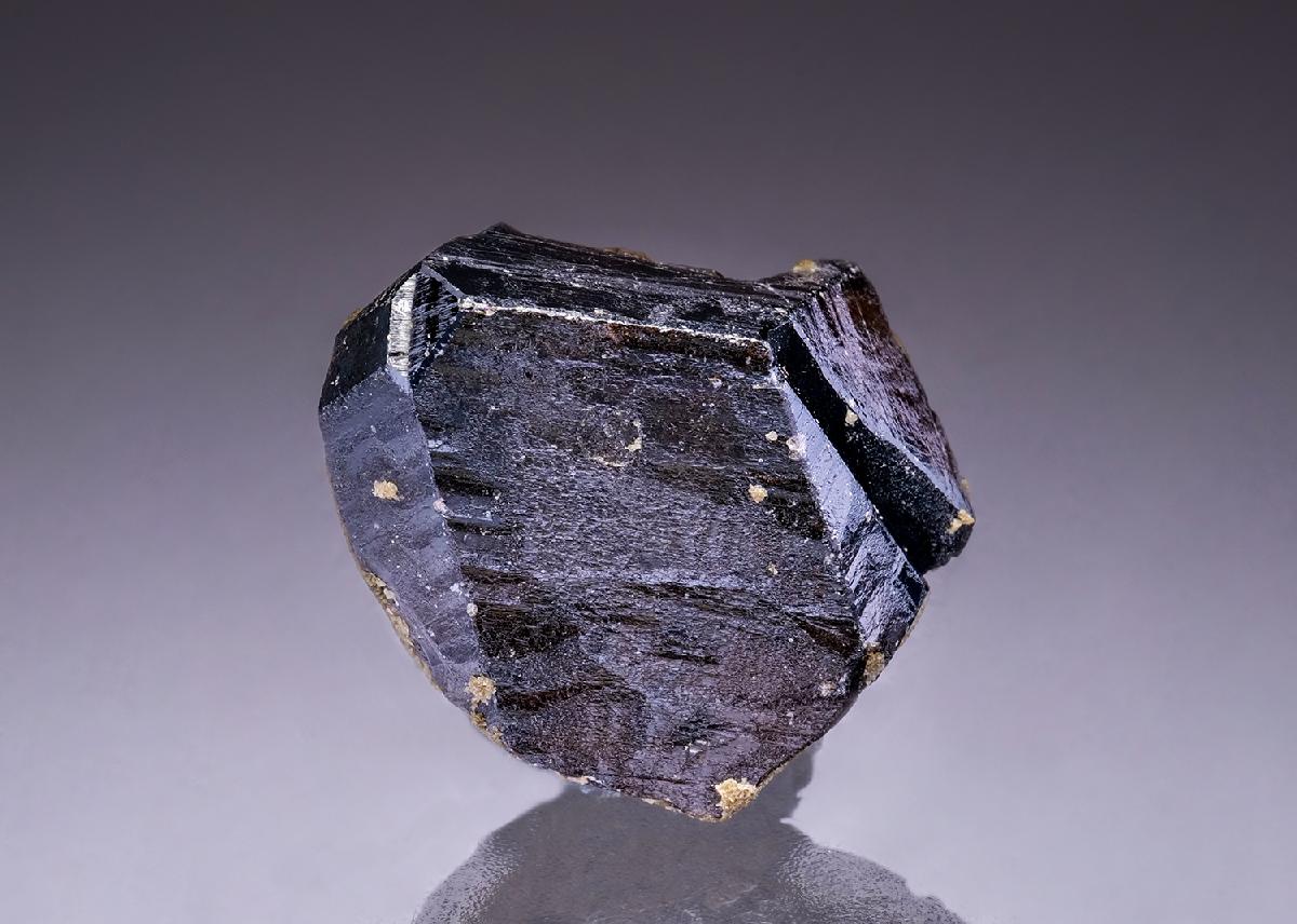 CC42688 specimen image