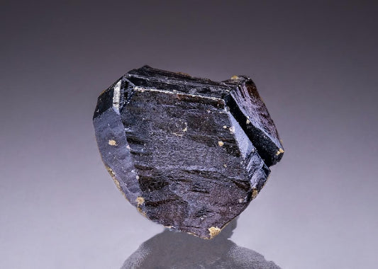 CC42688 specimen image
