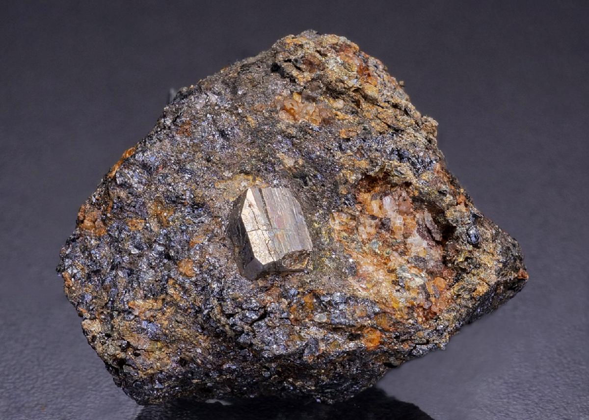 CC42698 specimen image