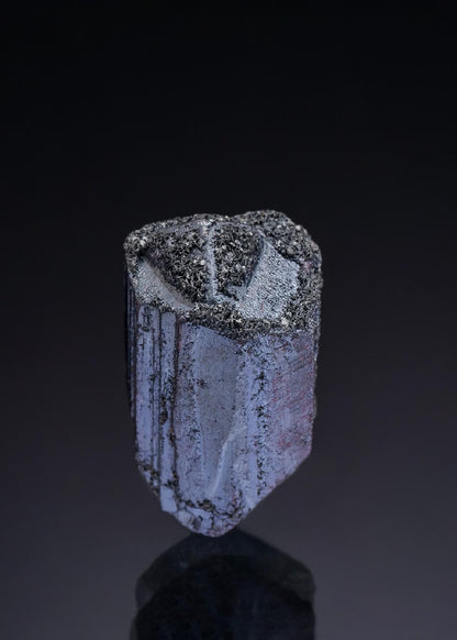 CC42804 specimen image