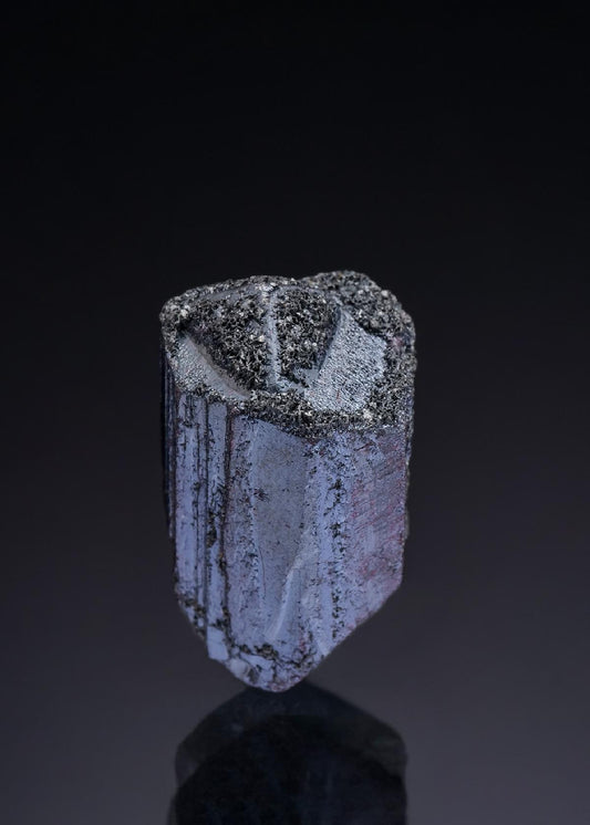 CC42804 specimen image