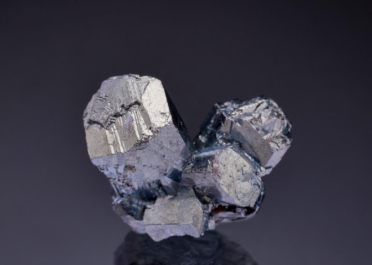 CC42818 specimen image