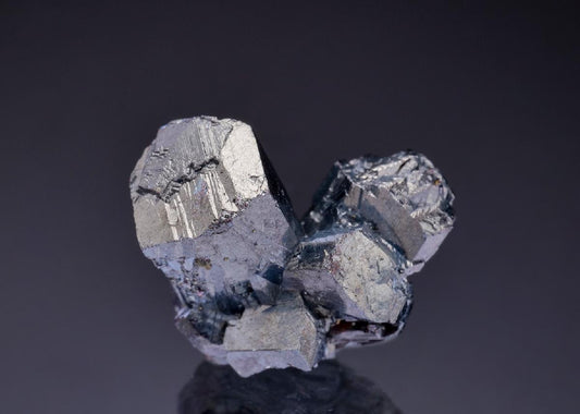 CC42818 specimen image