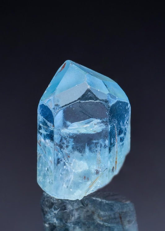 CC42824 specimen image