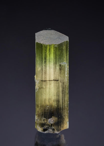 CC42826 specimen image