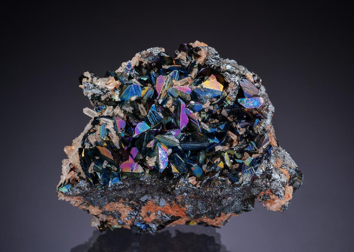 CC42848 specimen image