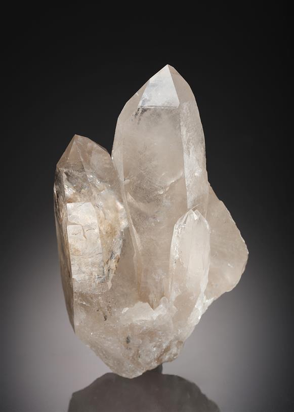CC4286 specimen image