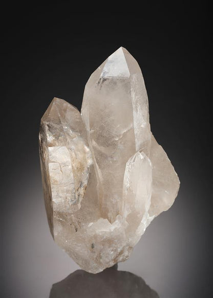 CC4286 specimen image