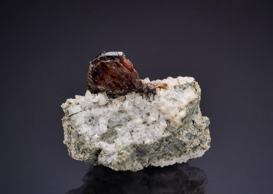 CC42860 specimen image