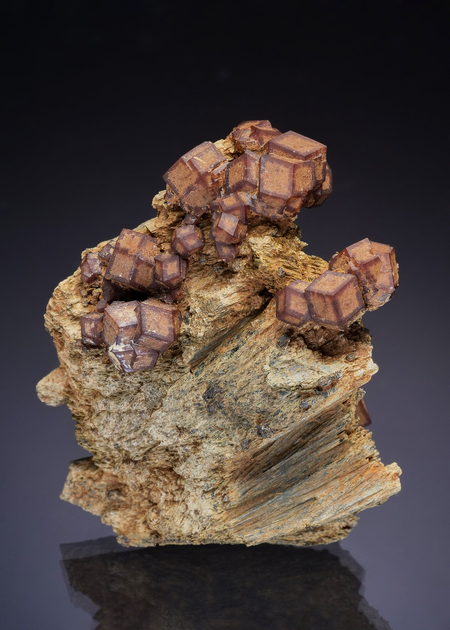 ANDRADITE on HEDENBERGITE