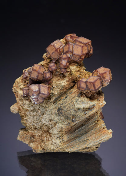 ANDRADITE on HEDENBERGITE