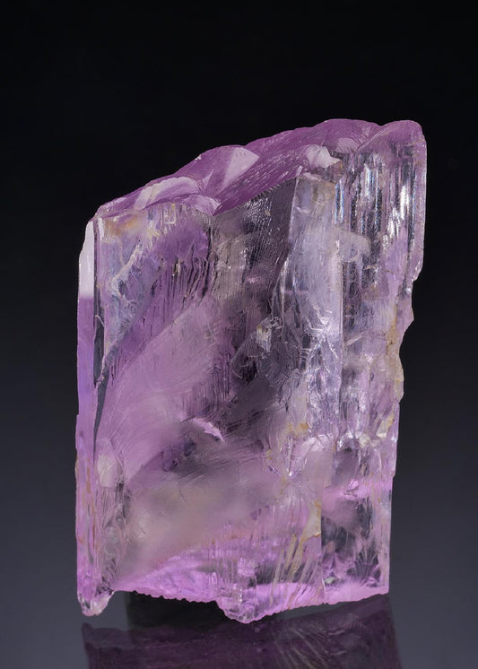CC42880 specimen image