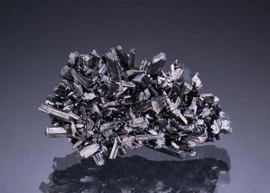 CC42894 specimen image