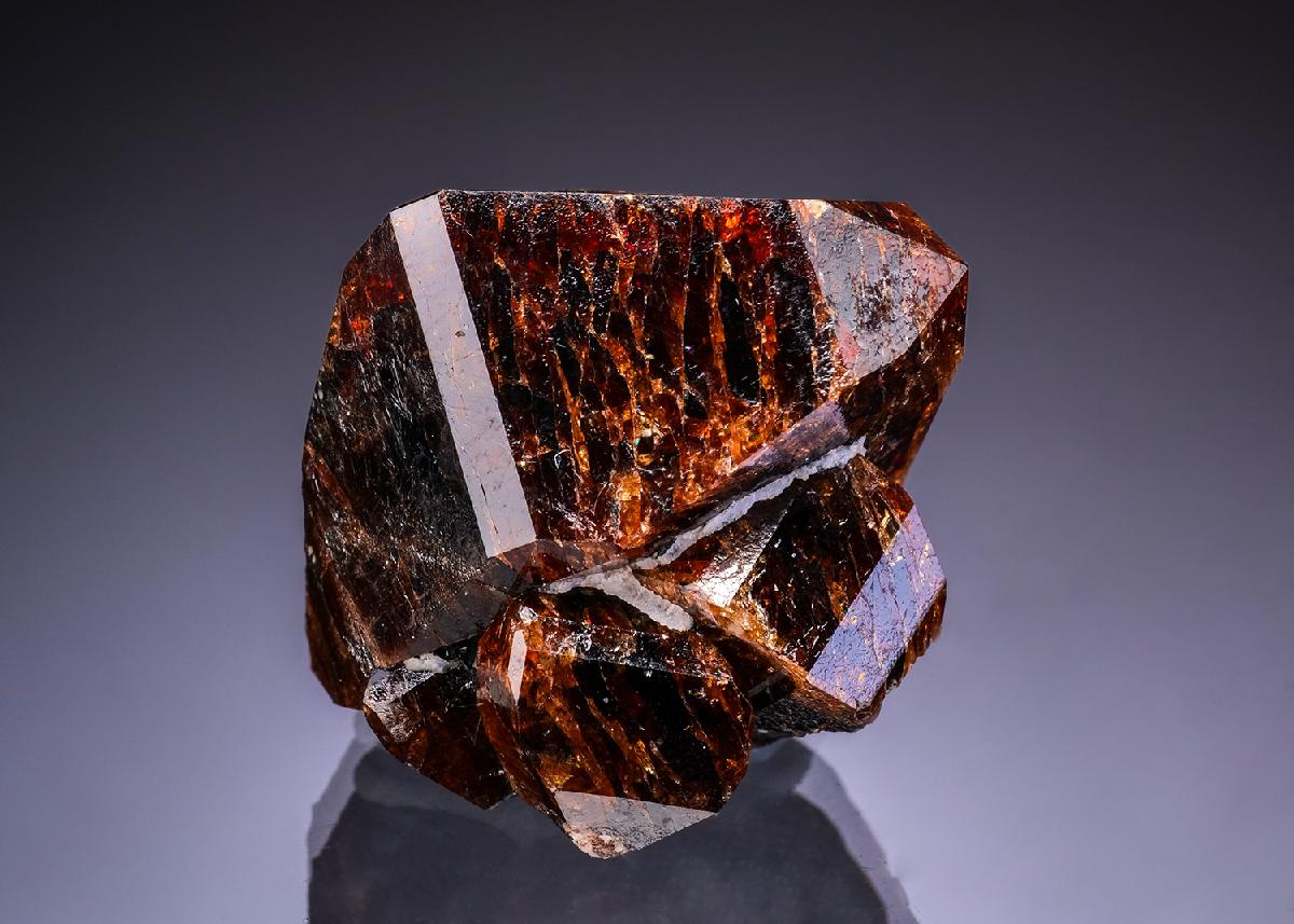 CC42904 specimen image