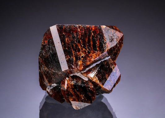 CC42904 specimen image