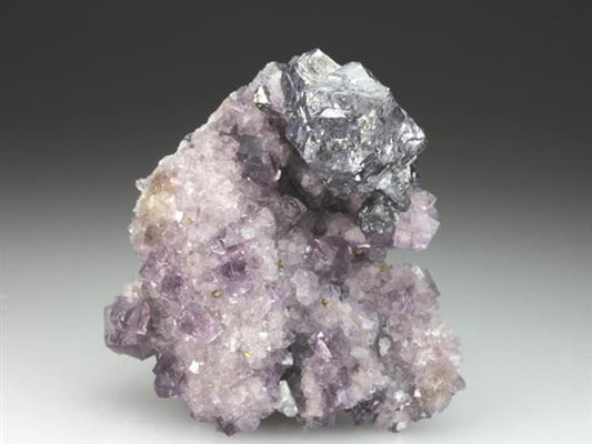 CC4291 specimen image