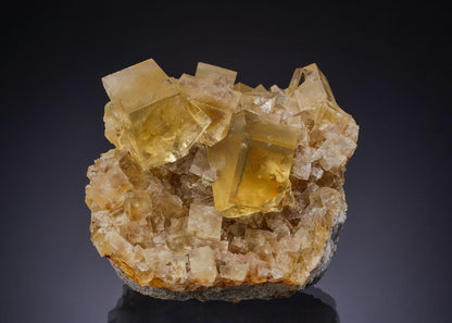 CC42924 specimen image