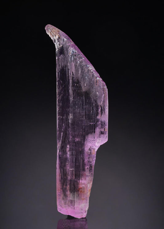CC42926 specimen image