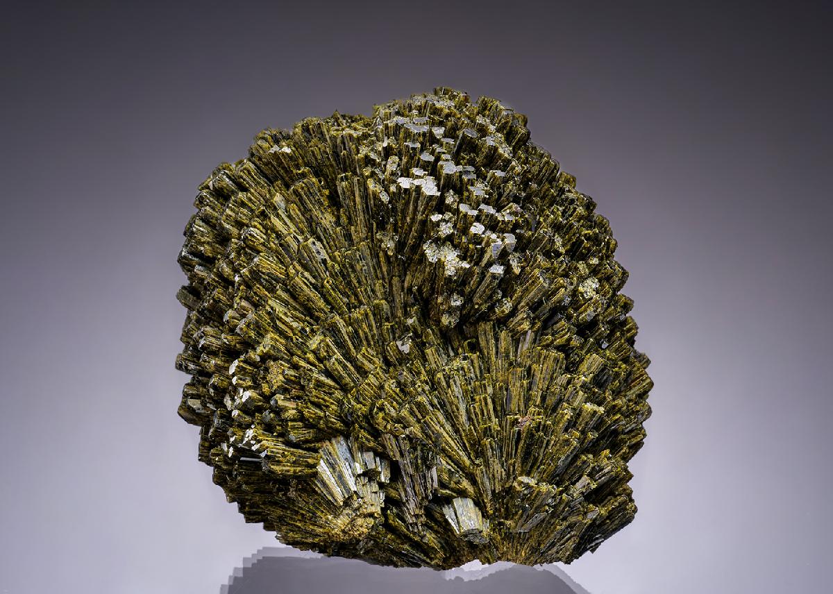 CC42932 specimen image