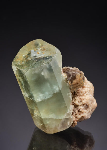 CC42948 specimen image