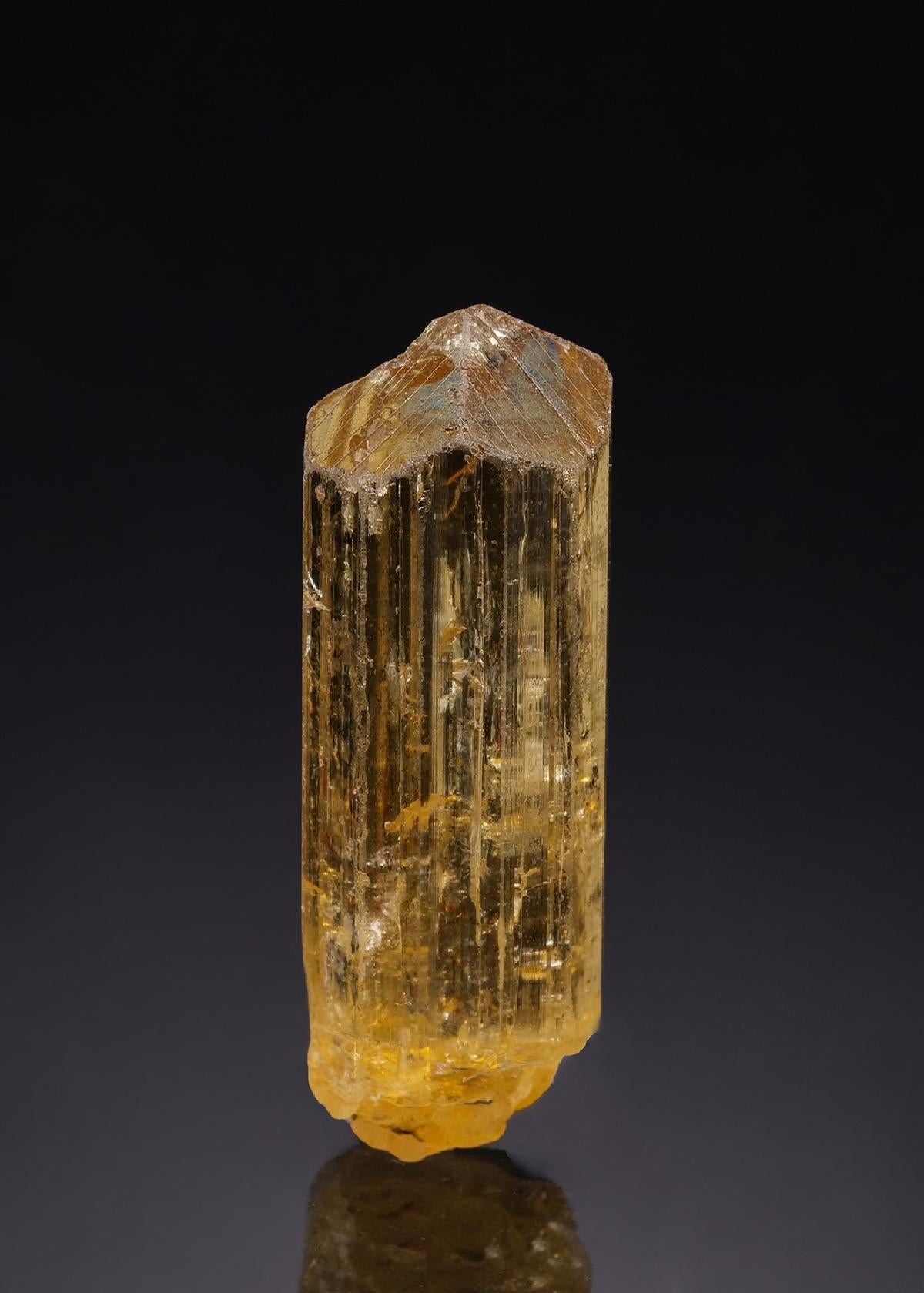 CC42962 specimen image