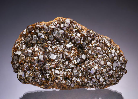 CC42978 specimen image