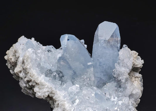 CC42986 specimen image