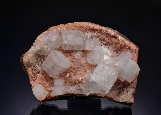 CC42988 specimen image