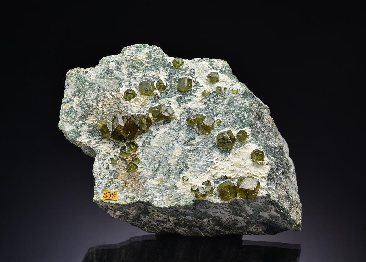 CC42990 specimen image