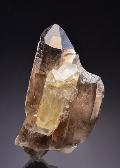 CC43006 specimen image