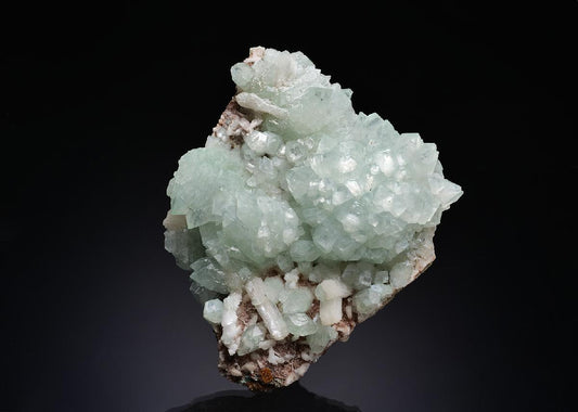 CC43022 specimen image