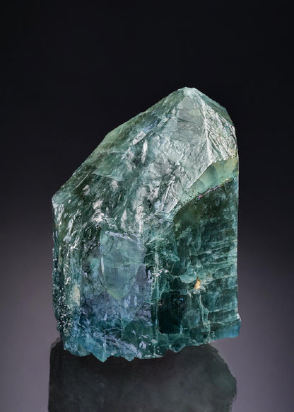 CC43026 specimen image