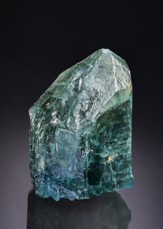 CC43026 specimen image