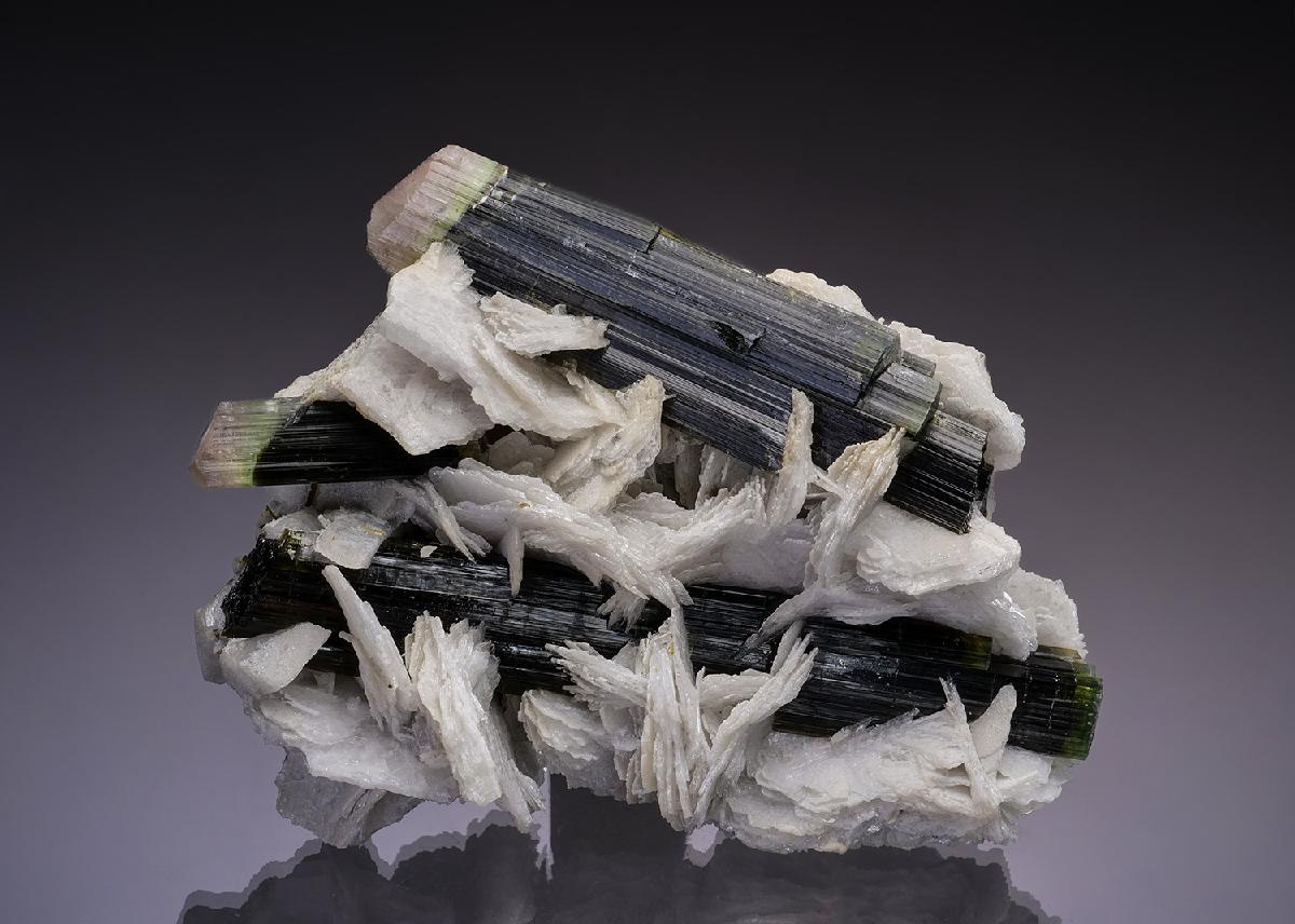 CC43030 specimen image
