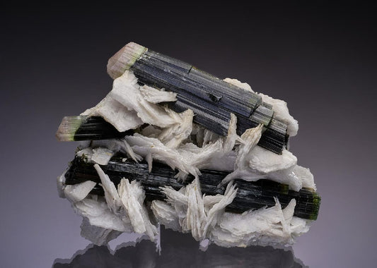 CC43030 specimen image