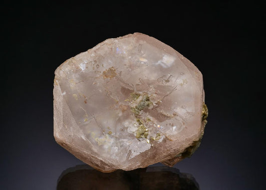 CC43042 specimen image