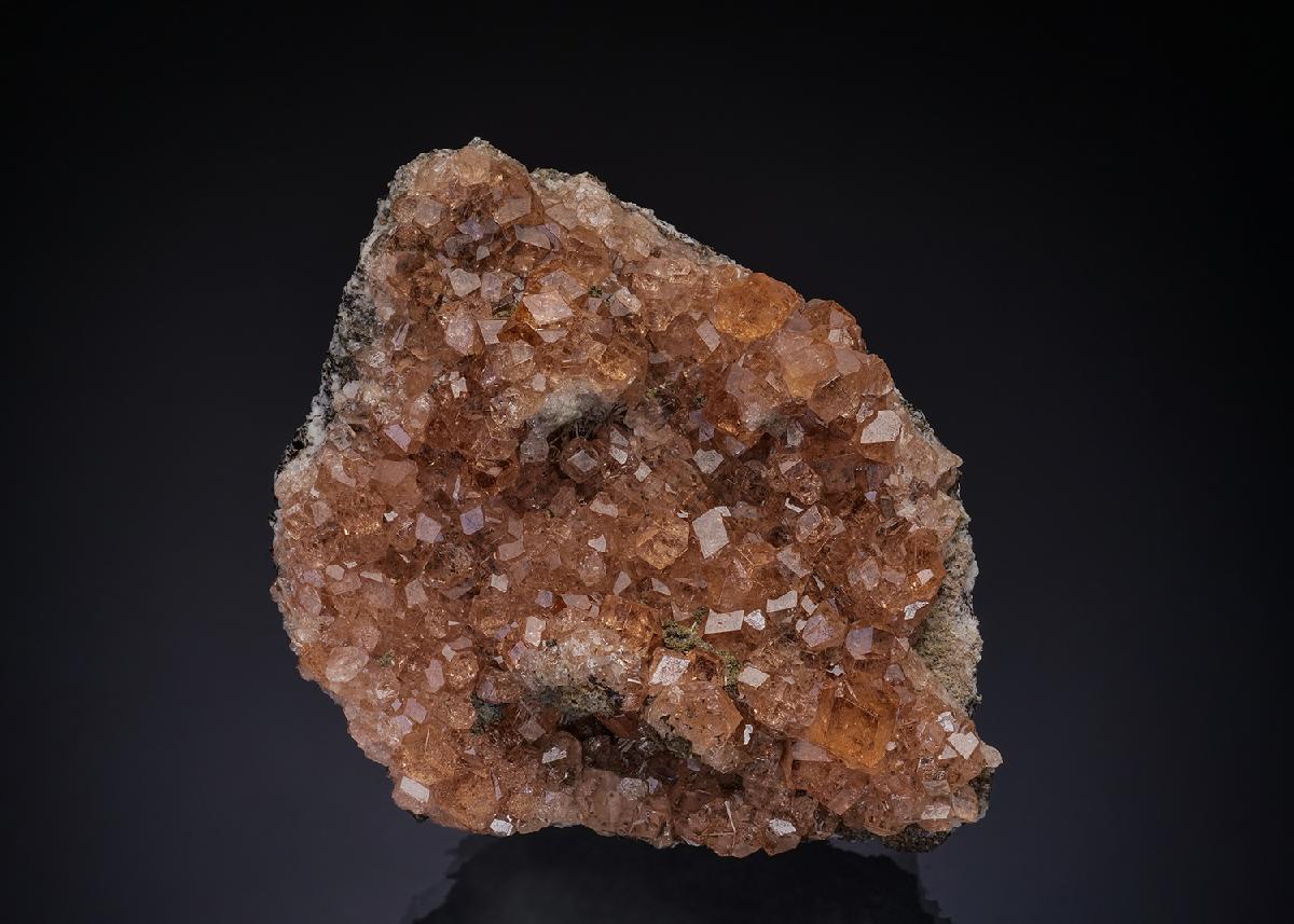 CC43054 specimen image