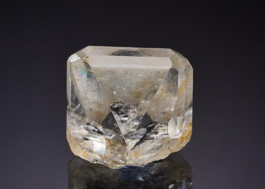 CC43064 specimen image