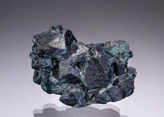 CC43074 specimen image