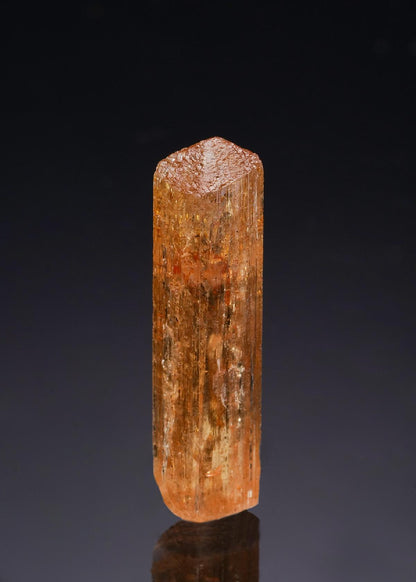 CC43082 specimen image