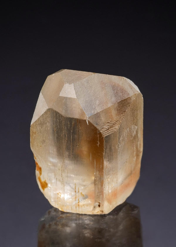 CC43084 specimen image