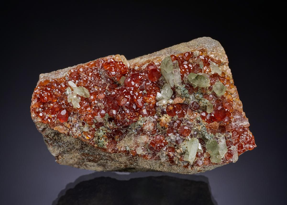 CC43092 specimen image