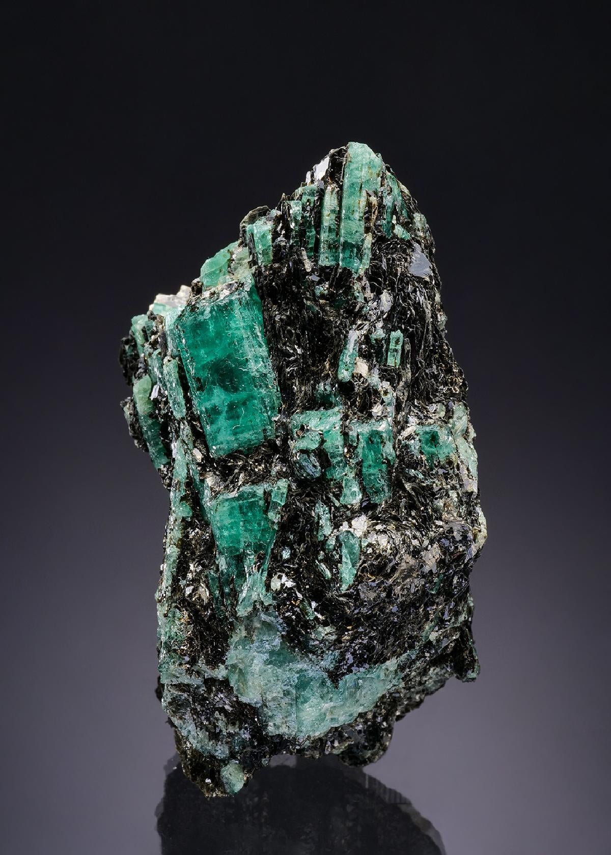 CC43096 specimen image