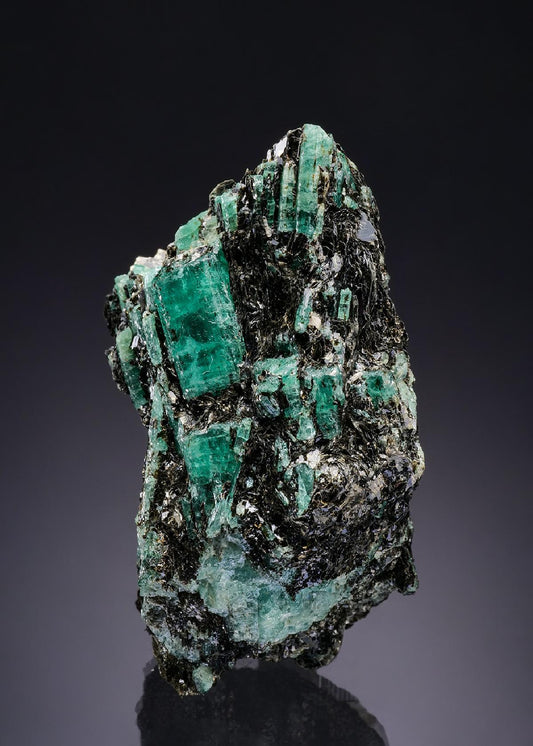 CC43096 specimen image