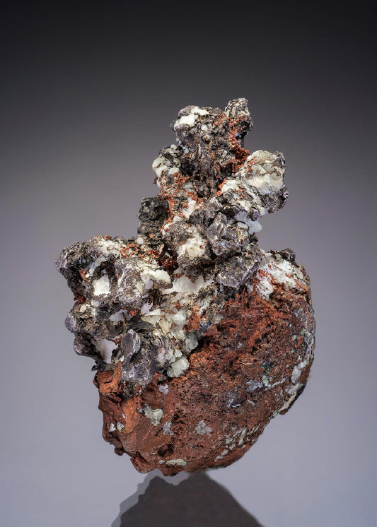 CC4313 specimen image