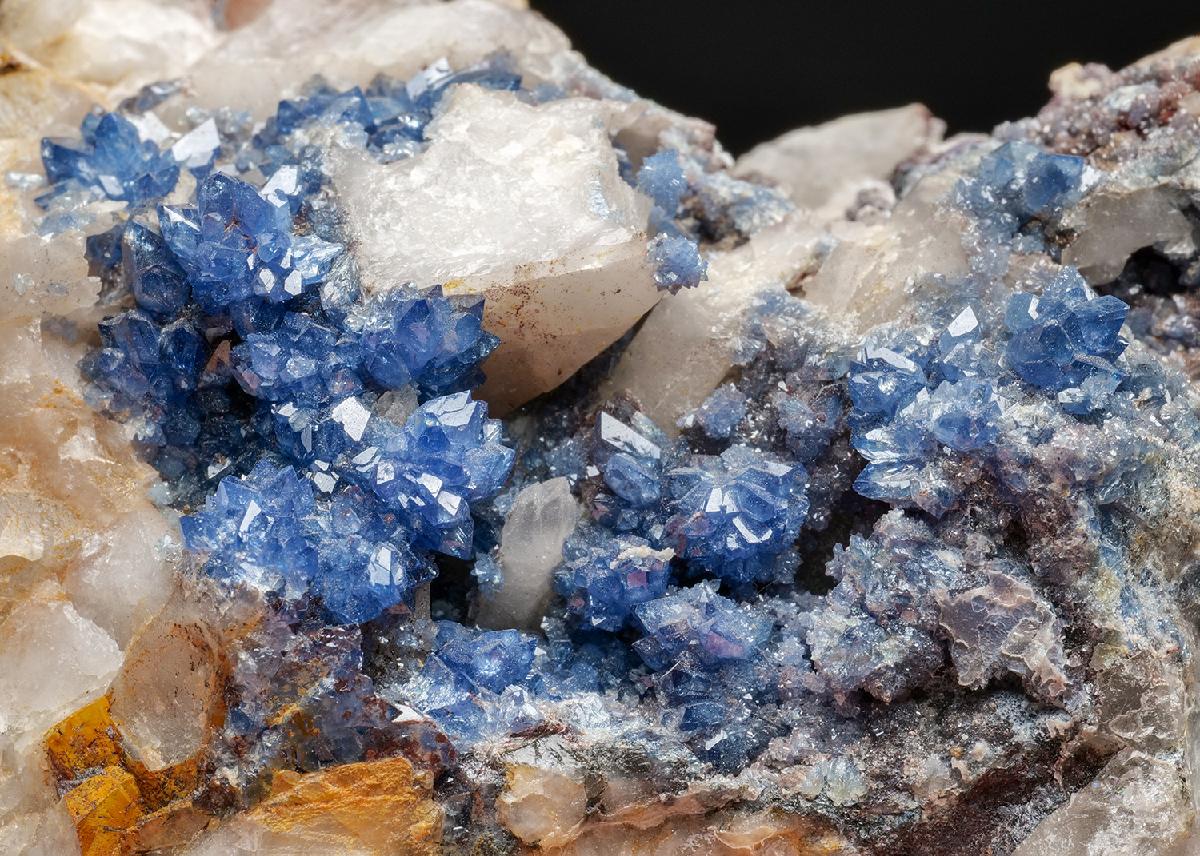 CC43194 specimen image