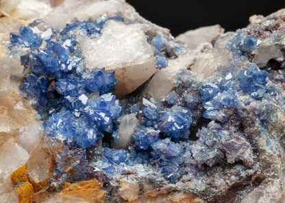 CC43194 specimen image